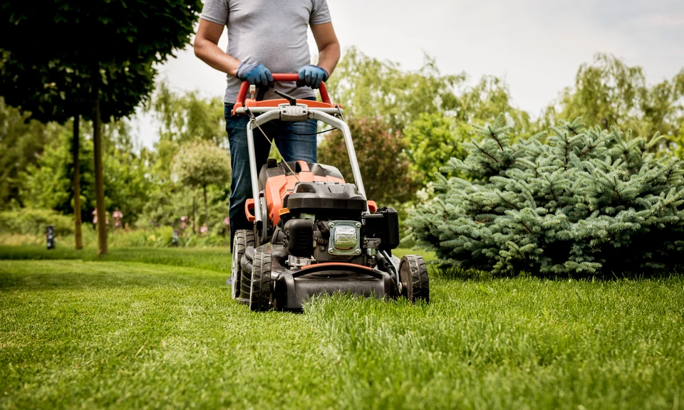 Homme en tee-shirt gris utilisant une tondeuse autoport&eacute;e sur pelouse verte dans jardin paysag&eacute; avec arbres et arbustes