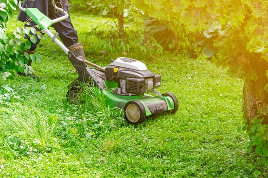 Sc&egrave;ne ext&eacute;rieure de jardinage avec personne utilisant une tondeuse &agrave; gazon thermique sur pelouse verdoyante