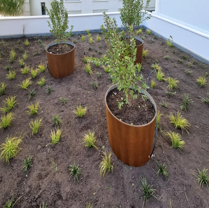 Aménagement paysager extérieur avec jardinières cylindriques en acier corten installées sur terrain préparé