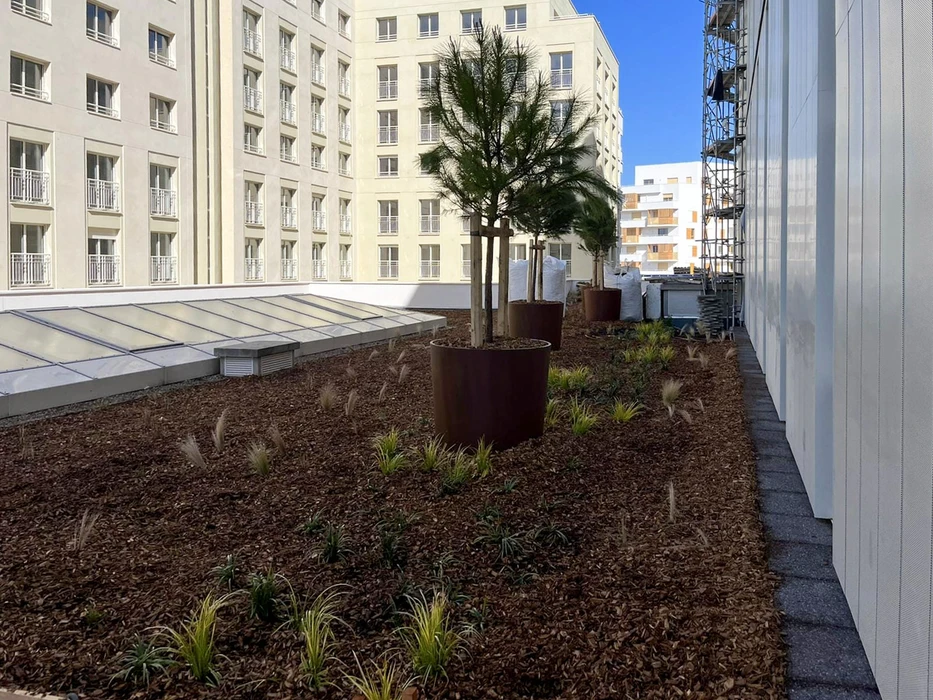 Aménagement paysager contemporain sur terrasse d'immeuble résidentiel avec jardinières cylindriques métalliques contenant palmiers et végétation méditerranéenne