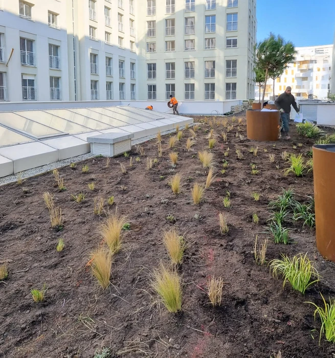 Chantier d'aménagement paysager en cours sur terrasse d'immeuble résidentiel