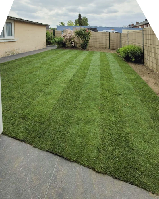 Jardin résidentiel avec pelouse fraîchement tondue présentant des bandes alternées claires et foncées