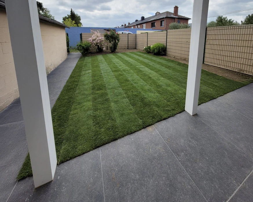 Jardin résidentiel extérieur avec pelouse fraîchement tondue présentant des bandes alternées claires et foncées