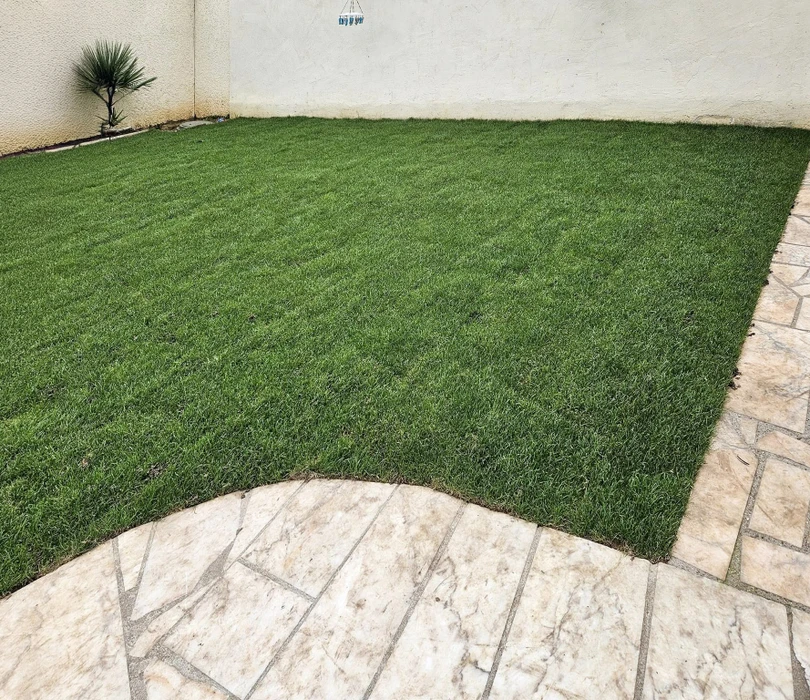 Aménagement paysager contemporain sur terrasse d'immeuble résidentiel avec jardinières cylindriques métalliques contenant palmiers et végétation méditerranéenne