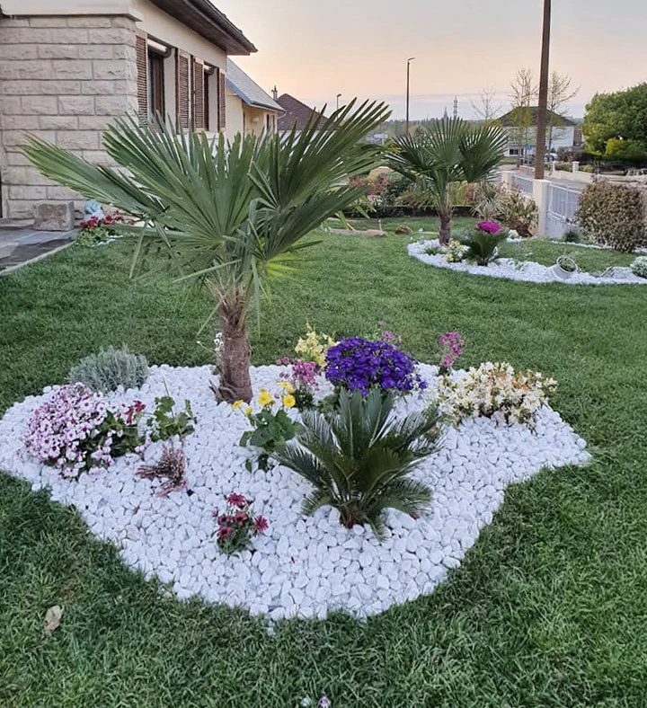 Jardin japonais paysagé avec bassin d'eau verte au premier plan bordé de végétation ornementale et rochers décoratifs