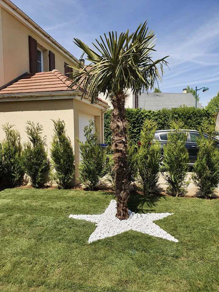 Espace extérieur résidentiel avec aménagement paysager récent