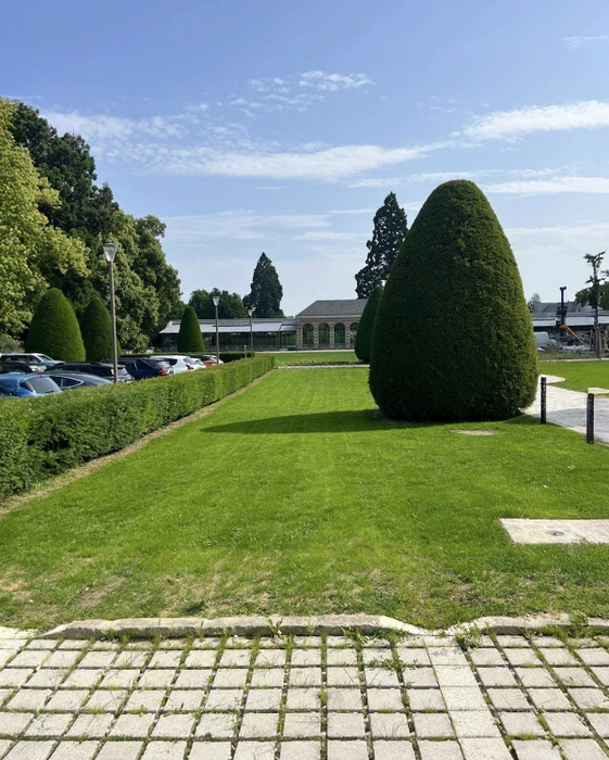 Jardin résidentiel avec pelouse fraîchement posée, clôture mixte bois et grillage rigide vert