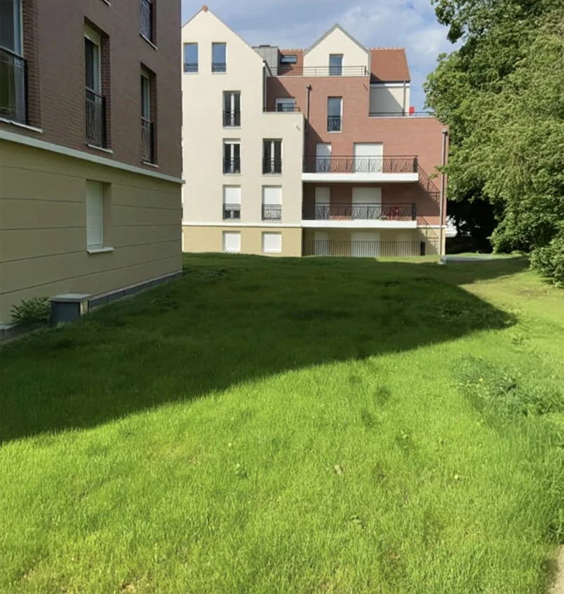 Jardin résidentiel extérieur avec pelouse fraîchement tondue présentant des bandes alternées claires et foncées