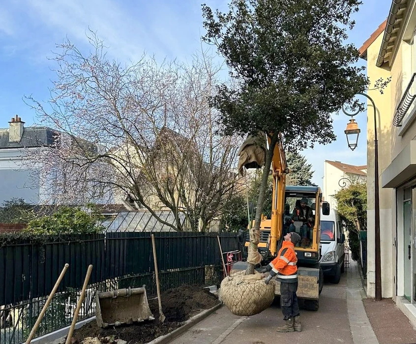 Aménagement paysager extérieur d'une cour arrière résidentielle avec pelouse fraîchement installée en plaques de gazon