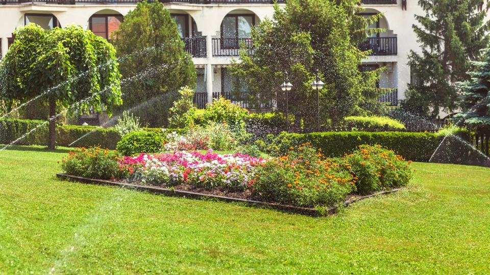 Homme d'âge moyen arrosant un jardin résidentiel avec un tuyau d'arrosage vert