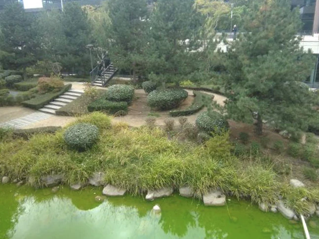 Jardin résidentiel avec aménagement paysager comprenant massifs floraux délimités par bordures de galets blancs