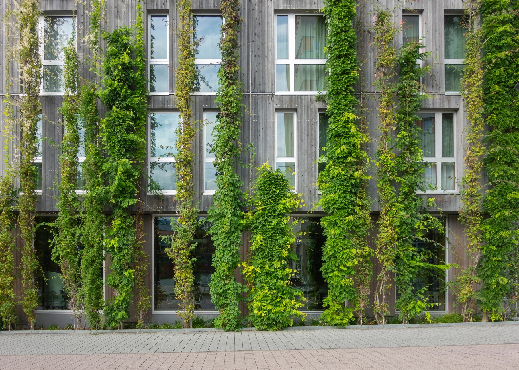 Consultation audiologique dans un cabinet médical