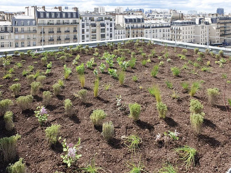 Entrée d'entreprise paysagiste avec portail métallique noir ouvert sur terrain gravillonné