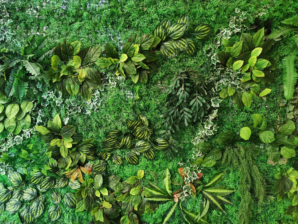 Femme d'affaires en costume beige explorant une jardinerie couverte, entourée de plantes vertes en pots