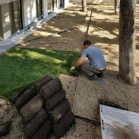 Jardin paysager avec pelouse tondue en courbes naturelles, bordures de vivaces fleuries jaunes et roses, massifs d'hostas et fougères