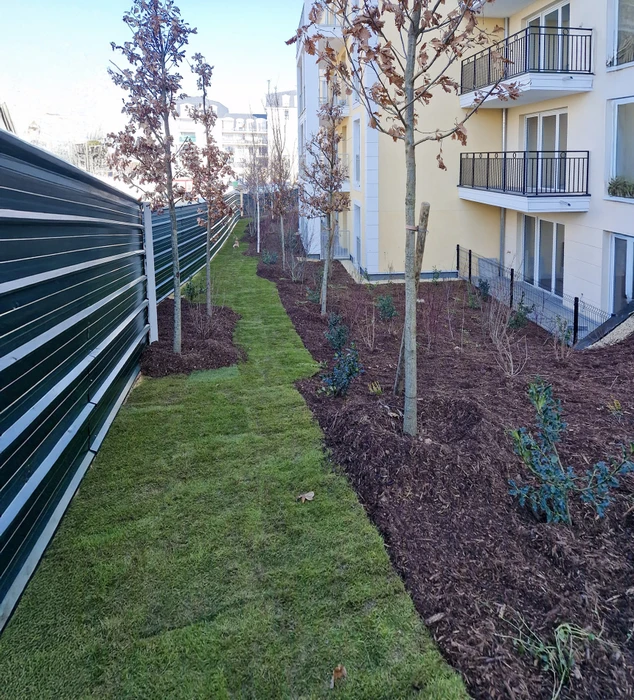 Espace extérieur avec pelouse présentant des zones dégarnies et jaunies nécessitant une rénovation