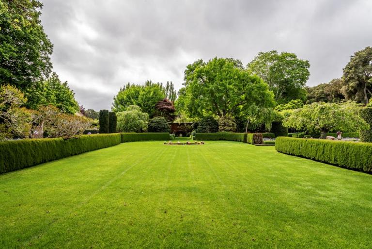 Entretien du jardin : guide complet pour un espace impeccable